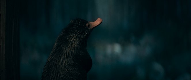 Phantastische Tierwesen: Dumbledores Geheimnisse - Filmfotos