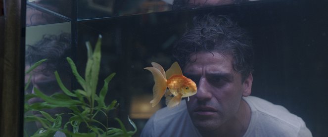 Moon Knight - Problém s akvarijní rybkou - Z filmu - Oscar Isaac