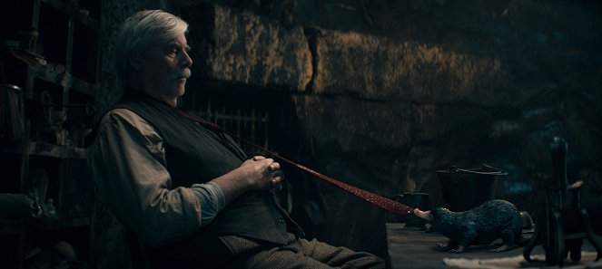 Ihmeotukset: Dumbledoren salaisuudet - Kuvat elokuvasta - Peter Simonischek