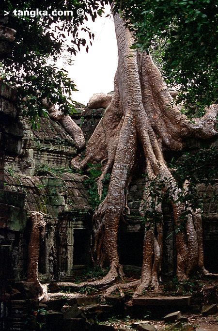World Discoveries: Cambodia - Photos