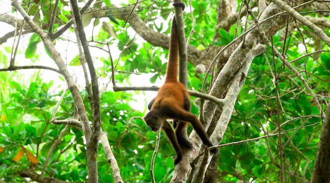 Découverte du monde : Costa Rica - Z filmu