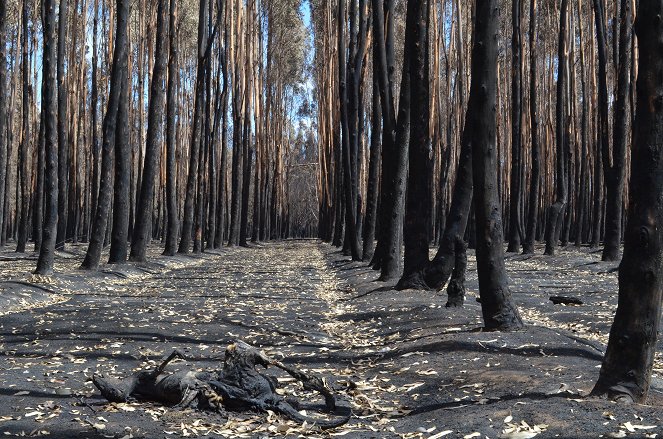Australia on Fire: Climate Emergency - Z filmu