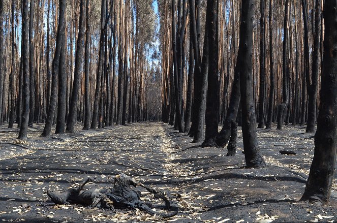 Australia on Fire: Climate Emergency - Van film