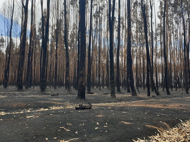 Australia on Fire: Climate Emergency - Filmfotók