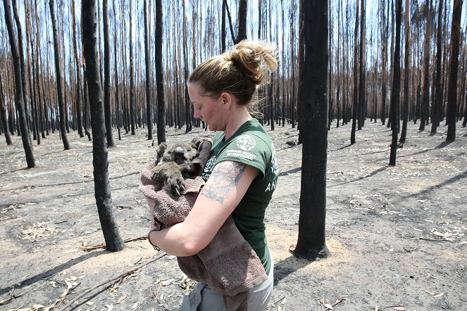 Australia on Fire: Climate Emergency - Van film