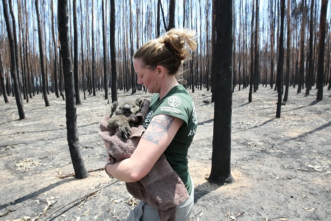 Australia on Fire: Climate Emergency - Kuvat elokuvasta