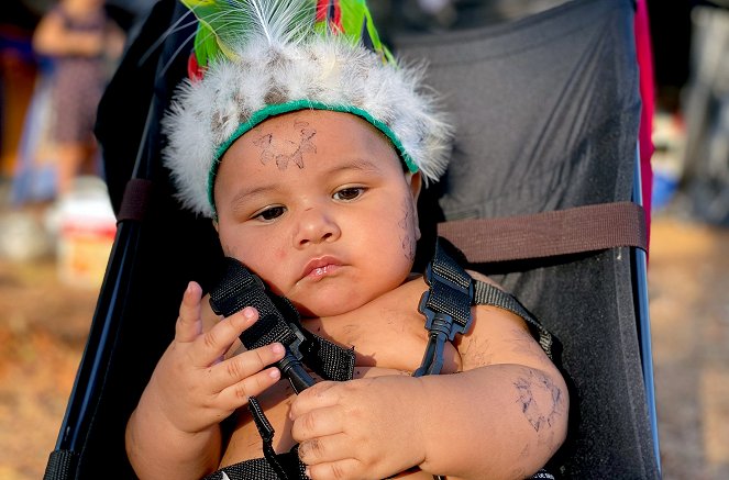 Amazonie – C'est la forêt qu'on assassine - Photos
