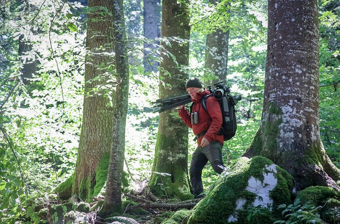 Terra X: Kielings wilde Welt - Season 4 - Zurück zur Natur - Kuvat elokuvasta