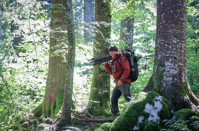 Terra X: Kielings wilde Welt - Zurück zur Natur - Z filmu