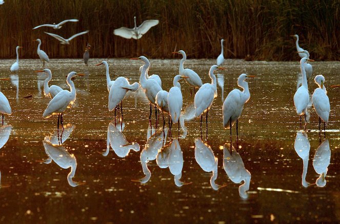 New Land - The Islands of the Marker Wadden - Filmfotók