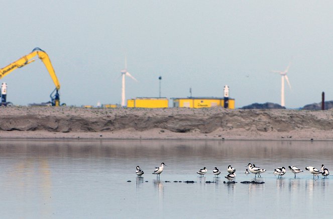 New Land - The Islands of the Marker Wadden - Filmfotók