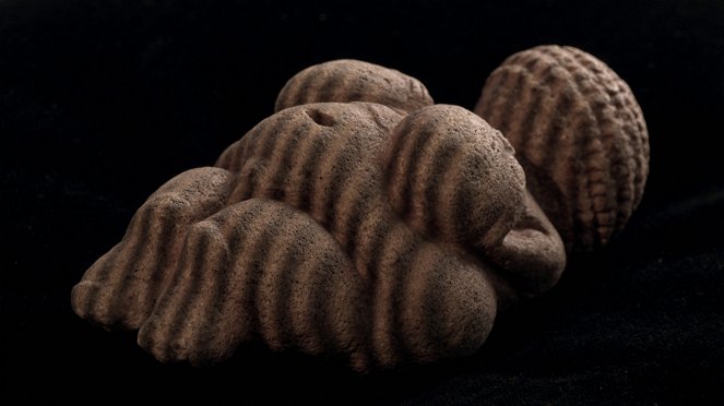 Venus of Willendorf - The Naked Truth - Photos