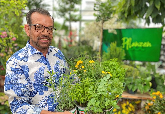 Pflanzendoc - Karl Ploberger hilft bei Gartensorgen - Werbefoto - Karl Ploberger