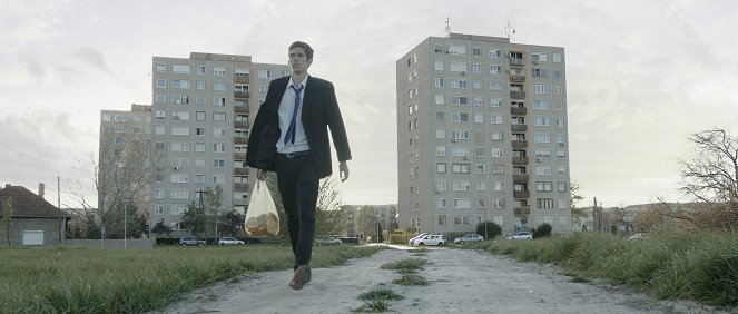 ZANOX - Kockázatok és mellékhatások - Kuvat elokuvasta - Bálint Előd