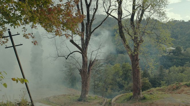 Taming the Garden - De la película