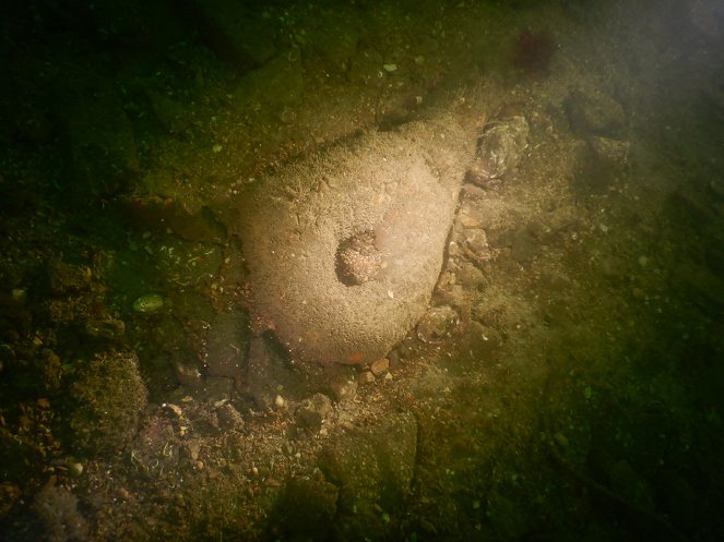 Ross Kemp: Shipwreck Treasure Hunter - De la película