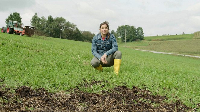 Anna auf dem Bauernhof - Die Schafe im Zwergenwald - De la película