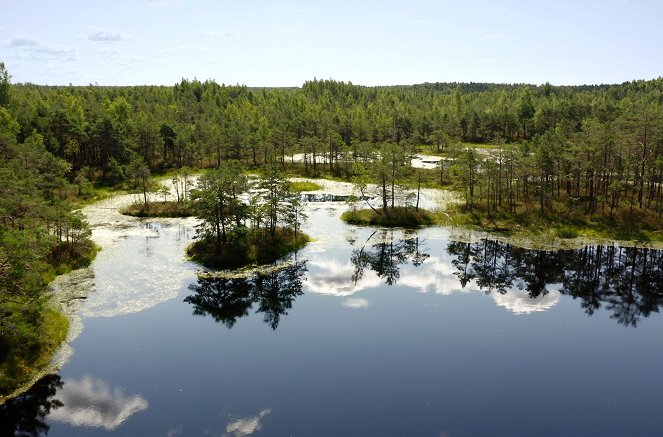 Paradiese aus Menschenhand - Die Rückkehr der Moore - Photos