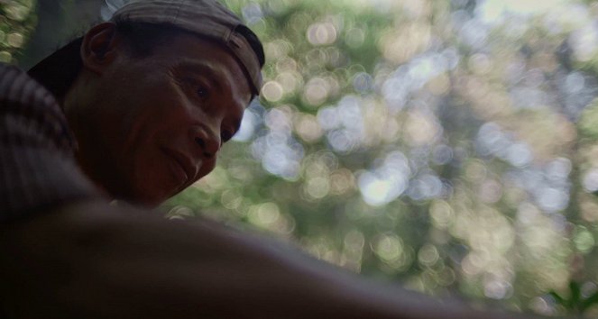 Der verschwundene Wald - Von Borneo bis Tokio - De la película