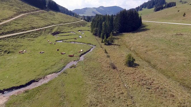Arbeit auf der Alm in den steirischen Alpen - Film