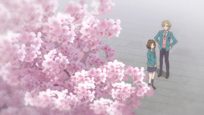 Our Love Has Always Been 10 Centimeters Apart. - Spring, First Love, Color of Cherry Blossoms - Photos