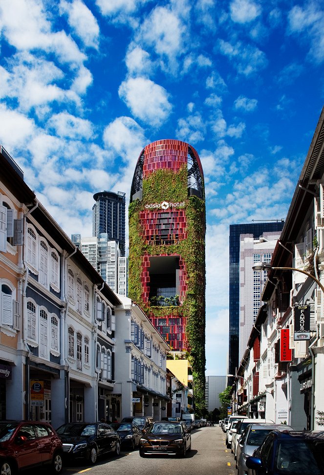 Die Stadt in der Zukunft - Lernen von Singapur - Film
