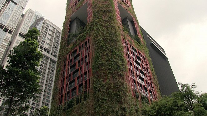 Singapore - Embracing Nature - Photos