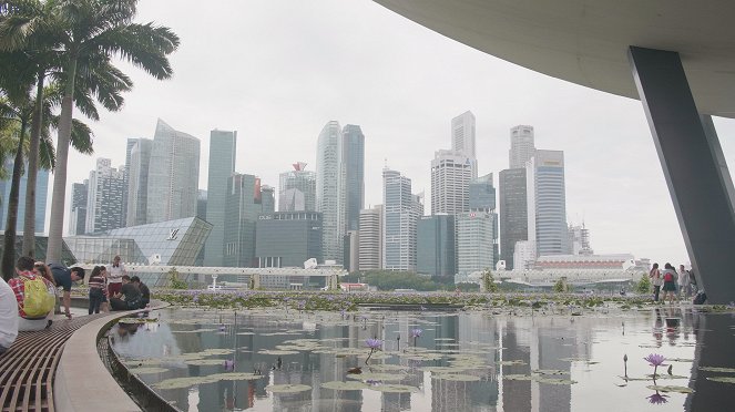 Die Stadt in der Zukunft - Lernen von Singapur - Film