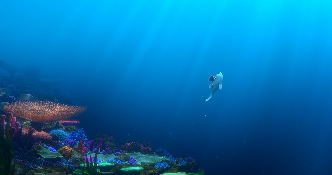 Dolphin Boy – Abenteuer unter dem Meer - Filmfotos