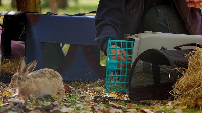 Az állatkölykök csodás élete - Filmfotók