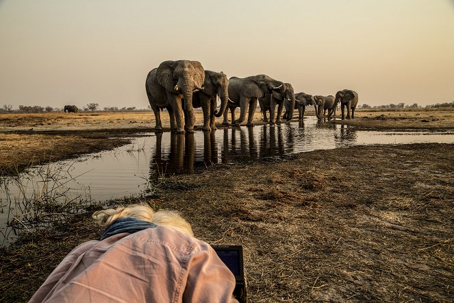 Okavango - Wunderwelt - Van film