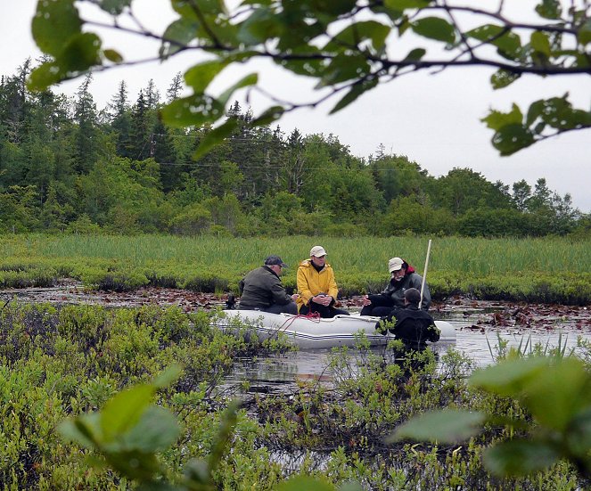 Oak Island átka - Filmfotók