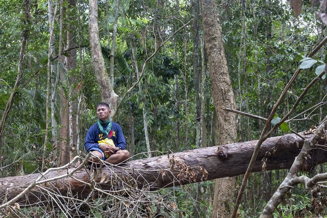 Delikado - Unter Gefahr: Die Rettung des philippinischen Waldes - Filmfotos