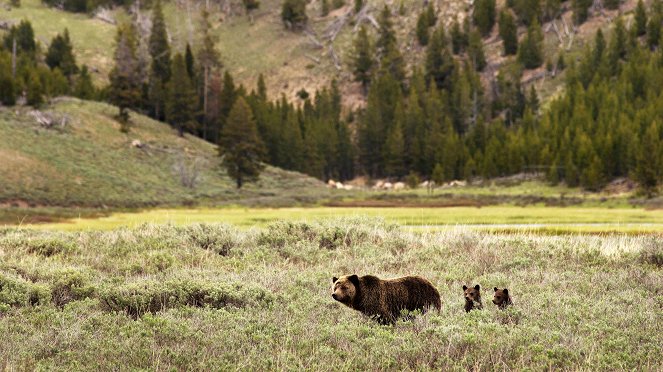 Mountain: Life at the Extreme - Rockies - Z filmu