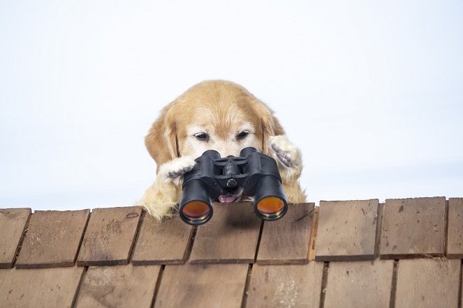 Como Perros y Gatos: La Patrulla Unida - De la película