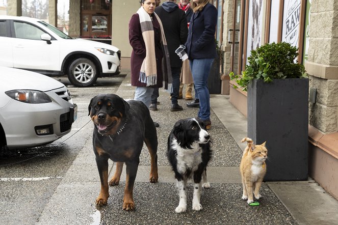 Cats & Dogs 3: Paws Unite - Kuvat elokuvasta
