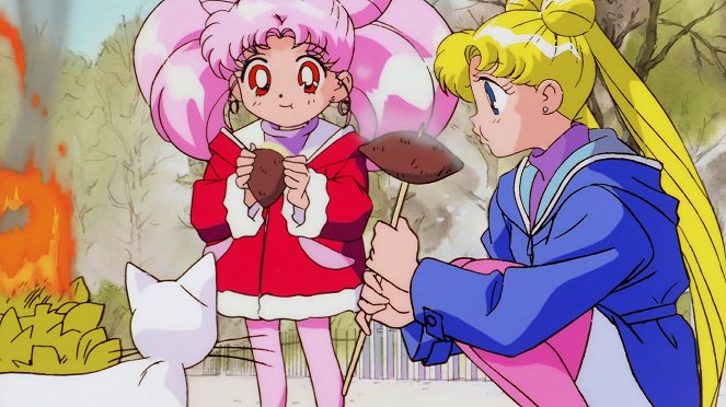 Bišódžo senši Sailor Moon S: Kaguja hime no koibito - Z filmu