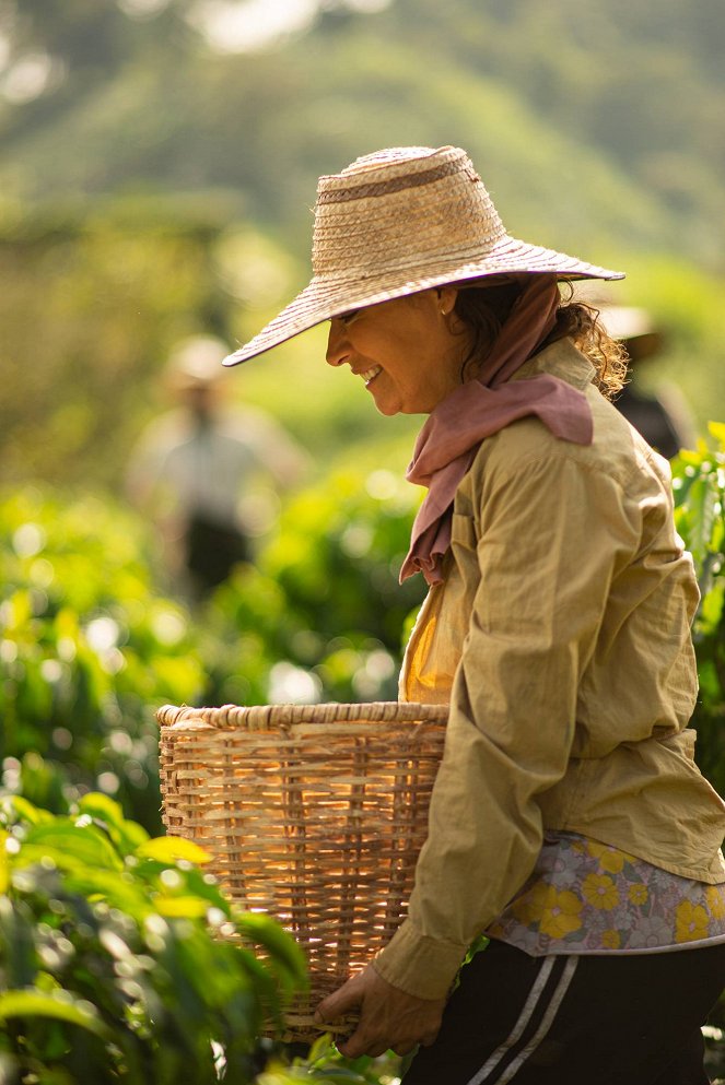 Café Con Aroma de Mujer - Do filme