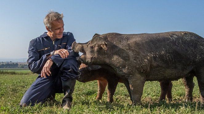 Hannes Jaenicke: Im Einsatz für das Schwein - De la película