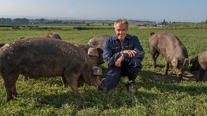 Hannes Jaenicke: Im Einsatz für das Schwein - Van film