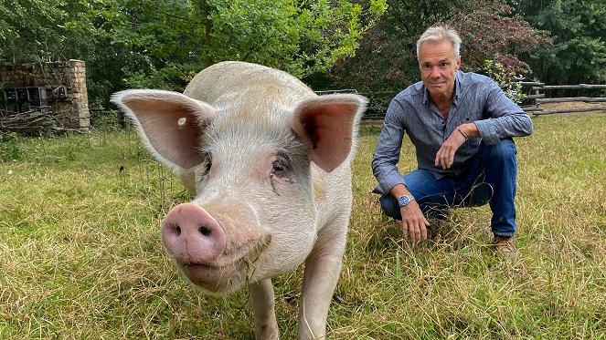 Hannes Jaenicke: Im Einsatz für das Schwein - Van film