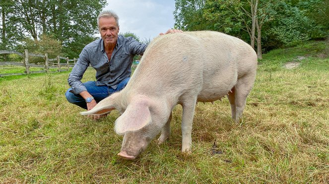 Hannes Jaenicke: Im Einsatz für das Schwein - Z filmu