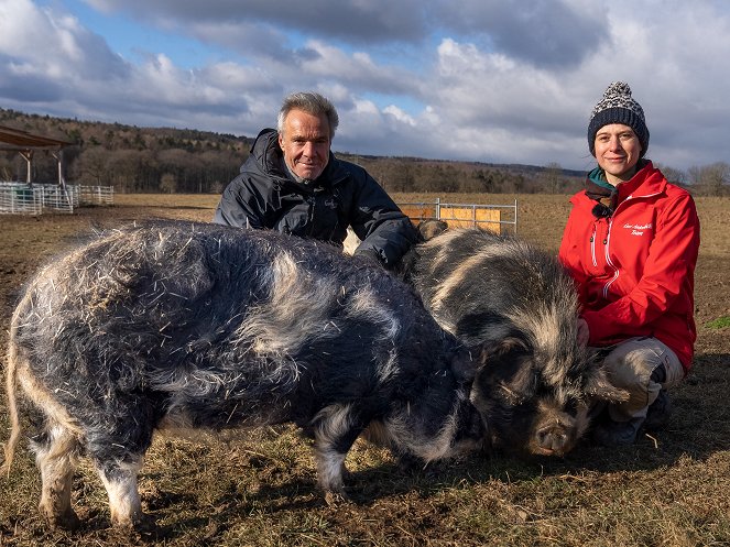 Hannes Jaenicke: Im Einsatz für das Schwein - Filmfotos