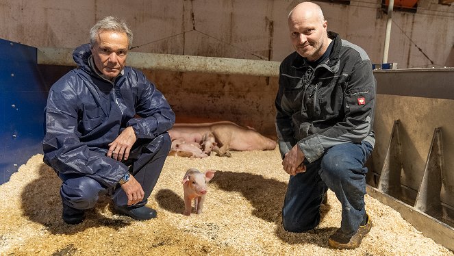 Hannes Jaenicke: Im Einsatz für das Schwein - Kuvat elokuvasta