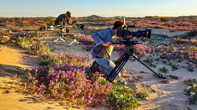 The Green Planet - Desert Worlds - Film