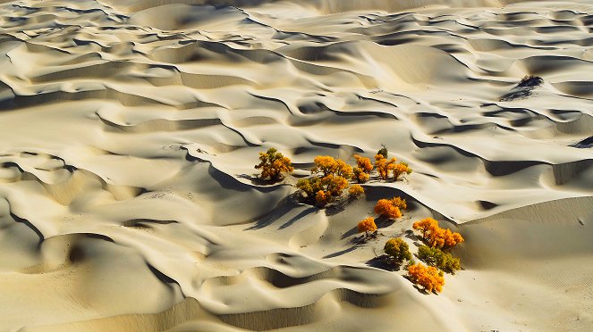 The Green Planet - Desert Worlds - Photos