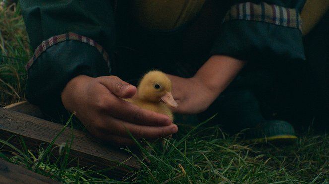 Lovely Little Farm - Deštivý den - Z filmu