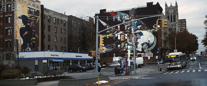 Birds of America - Photos