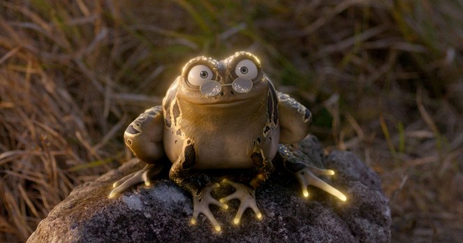 Willi und die Wunderkröte - Kuvat elokuvasta
