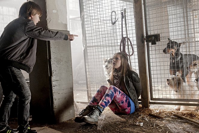 Billie and the Ghost - A Dog and his Boy - Photos